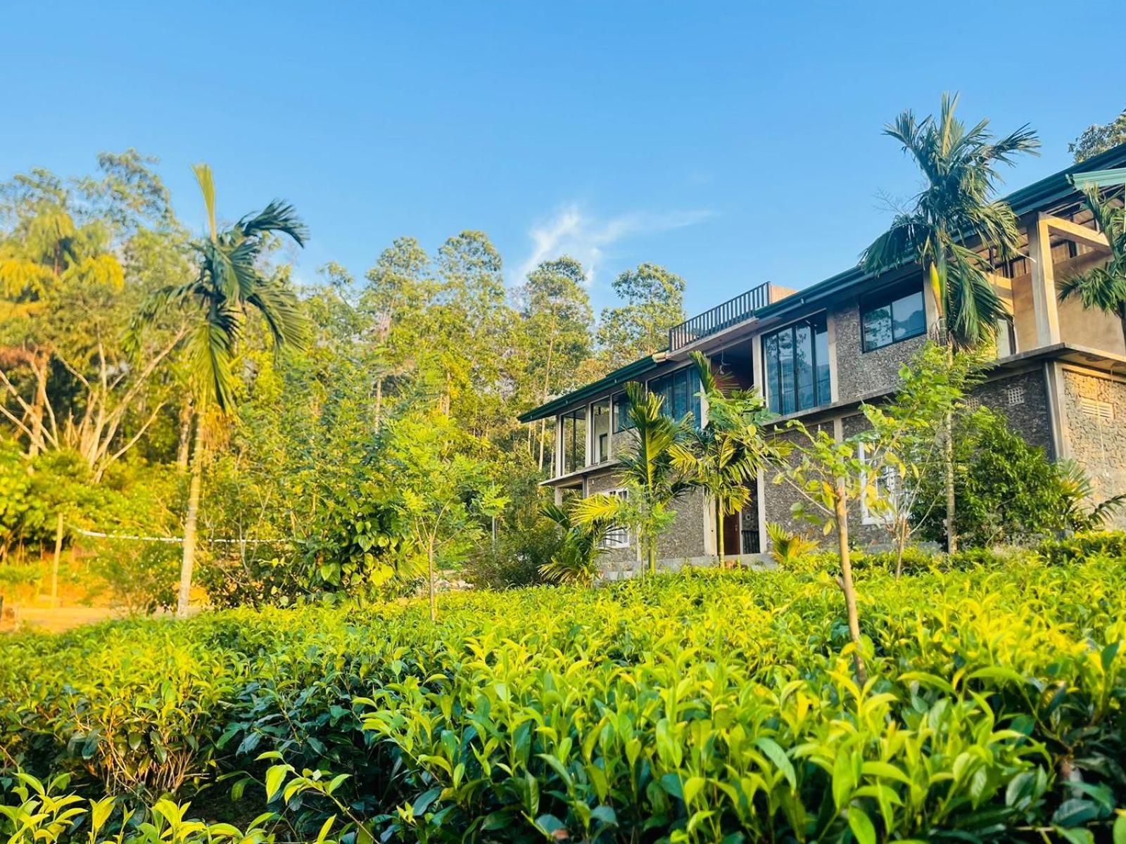 Palabaddala Tea And Eco Lodge Ратнапура Екстериор снимка