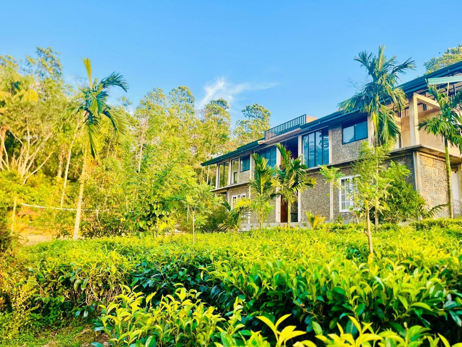 Palabaddala Tea And Eco Lodge Ратнапура Екстериор снимка