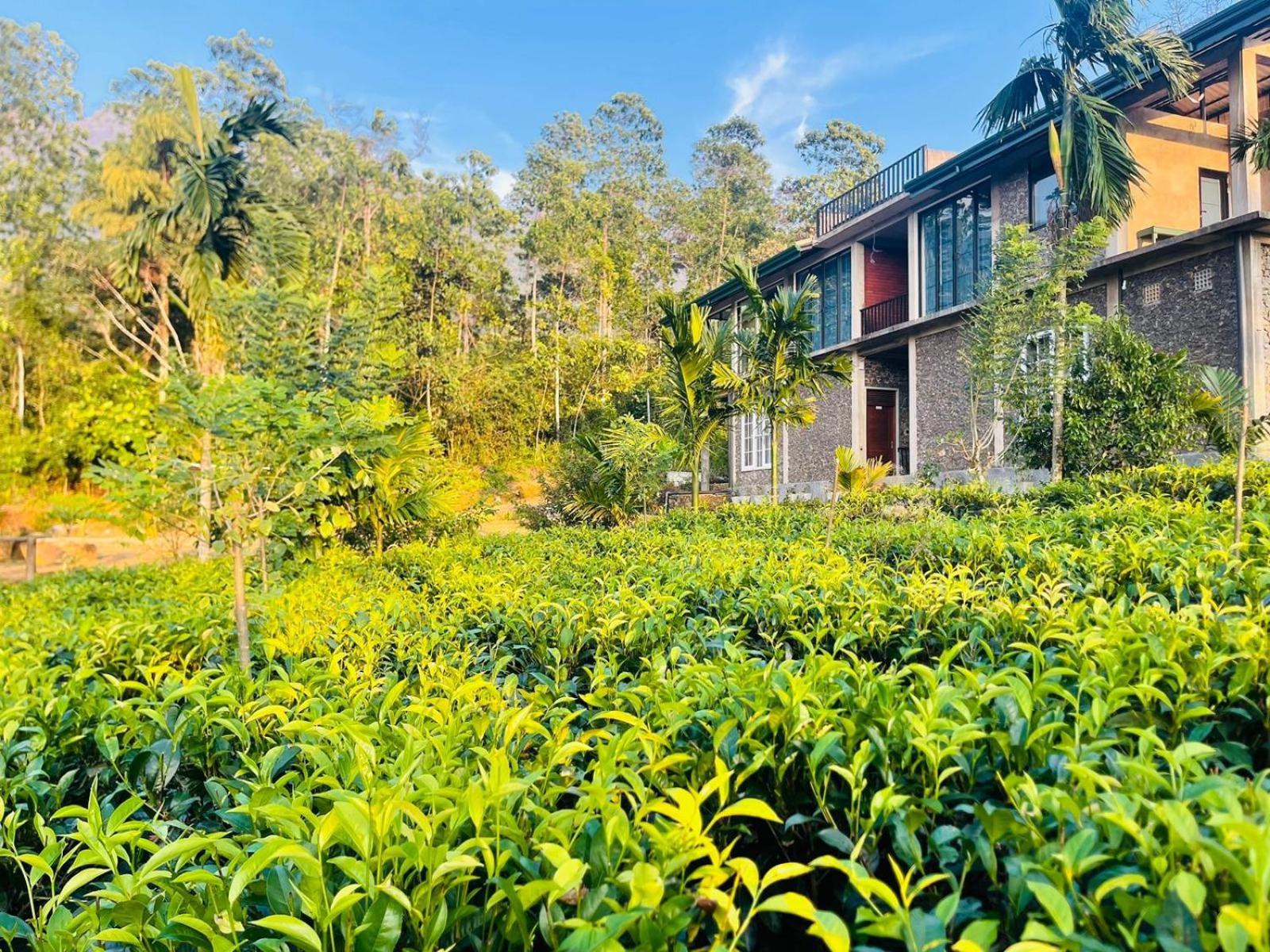 Palabaddala Tea And Eco Lodge Ратнапура Екстериор снимка