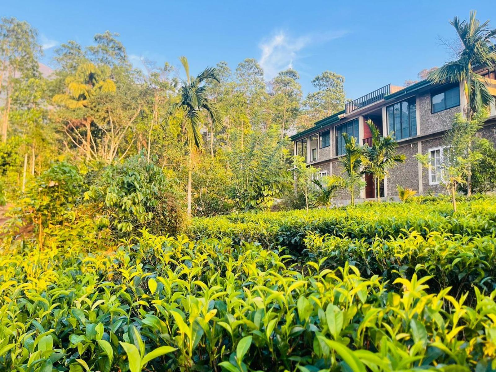 Palabaddala Tea And Eco Lodge Ратнапура Екстериор снимка