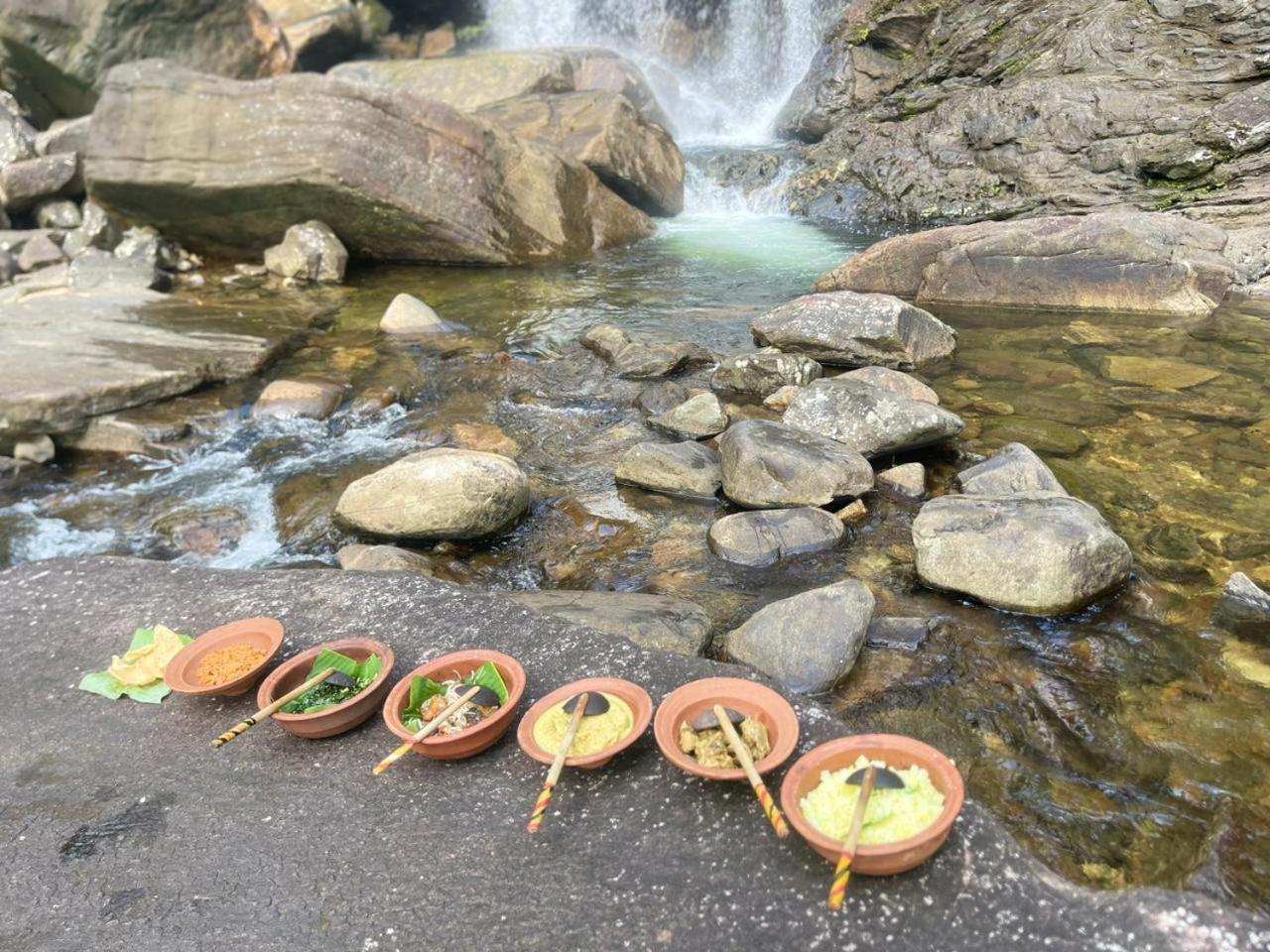 Palabaddala Tea And Eco Lodge Ратнапура Екстериор снимка